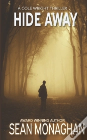 Capa do artigo Hide Away