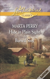 Capa do artigo Hide In Plain Sight & Buried Sins