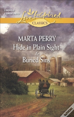 Capa do artigo Hide In Plain Sight & Buried Sins