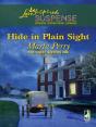 Hide In Plain Sight - Preview