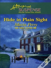 Capa do artigo Hide In Plain Sight