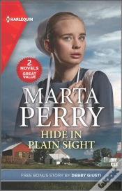 Capa do artigo Hide In Plain Sight