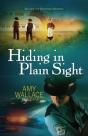 Hiding In Plain Sight - Preview