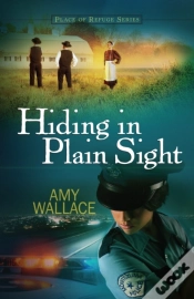 Capa do artigo Hiding In Plain Sight