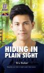 Hiding In Plain Sight - Preview