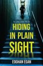 Hiding In Plain Sight - Preview
