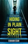 Hiding In Plain Sight