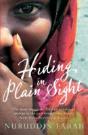 Hiding In Plain Sight - Preview