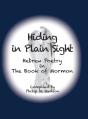 Hiding In Plain Sight - Preview