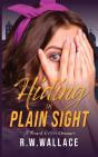 Hiding In Plain Sight - Preview