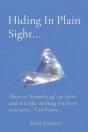Hiding In Plain Sight... - Preview