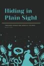 Hiding In Plain Sight - Preview