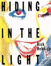 Capa do artigo Hiding In The Light