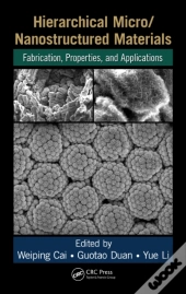 Hierarchical Micro/Nanostructured Materials
