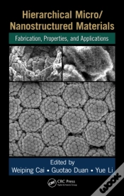 Capa do artigo Hierarchical Micro/Nanostructured Materials