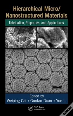 Capa do artigo Hierarchical Micro/Nanostructured Materials