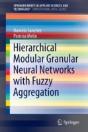 Hierarchical Modular Granular Neural Networks With Fuzzy Aggregation - Preview