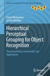 Hierarchical Perceptual Grouping For Object Recognition