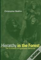 Hierarchy In The Forest