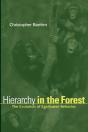 Hierarchy In The Forest - Preview