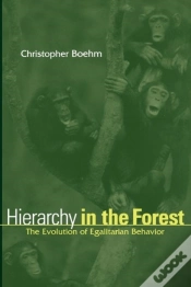 Capa do artigo Hierarchy In The Forest