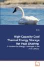 High-Capacity Cool Thermal Energy Storage For Peak Shaving - A Solution For Energy Challenges In The 21st Century - Preview