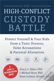 Capa do artigo High-Conflict Custody Battle
