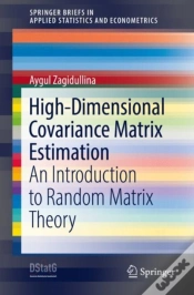 Capa do artigo High-Dimensional Covariance Matrix Estimation