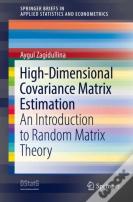 High-Dimensional Covariance Matrix Estimation