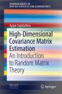 High-Dimensional Covariance Matrix Estimation - Preview