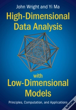 Capa do artigo High-Dimensional Data Analysis With Low-Dimensional Models