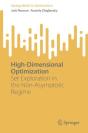 High-Dimensional Optimization - Preview