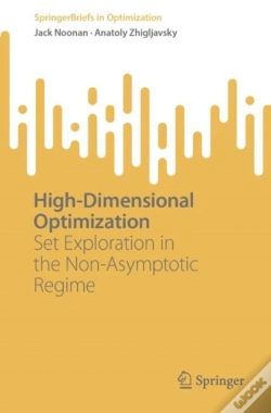 Capa do artigo High-Dimensional Optimization