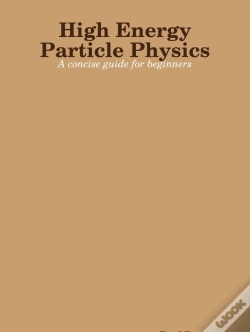 Capa do artigo High Energy Particle Physics: A Concise Guide For Beginners