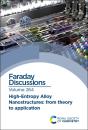 High-Entropy Alloy Nanostructures - Preview