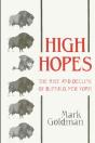 High Hopes - Preview