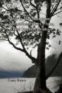 High In The Mountains Somewhere Over China, A Bird Reels & Floats - Preview