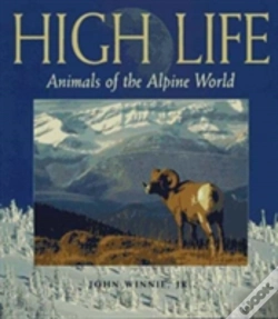 Capa do artigo High Life