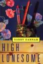 High Lonesome - Preview