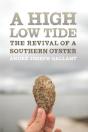 High Low Tide - Preview