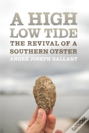 Capa do artigo High Low Tide