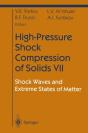 High-Pressure Shock Compression Of Solids Vii - Preview