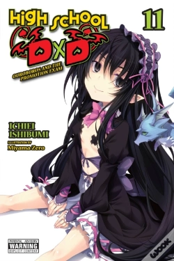 Capa do artigo High School Dxd, Vol. 11 (Light Novel)