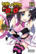 High School Dxd, Vol. 15 (Light Novel)