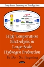 High Temperature Electrolysis In Large-Scale Hydrogen Production