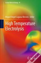 High Temperature Electrolysis