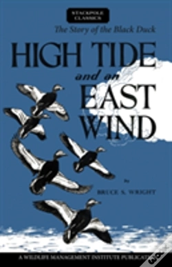 Capa do artigo High Tide And An East Wind