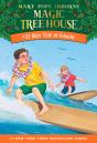 High Tide In Hawaii - Preview
