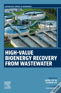 Capa do artigo High-Value Bioenergy Recovery From Wastewater