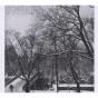 High Winds White Sky - CD - Preview